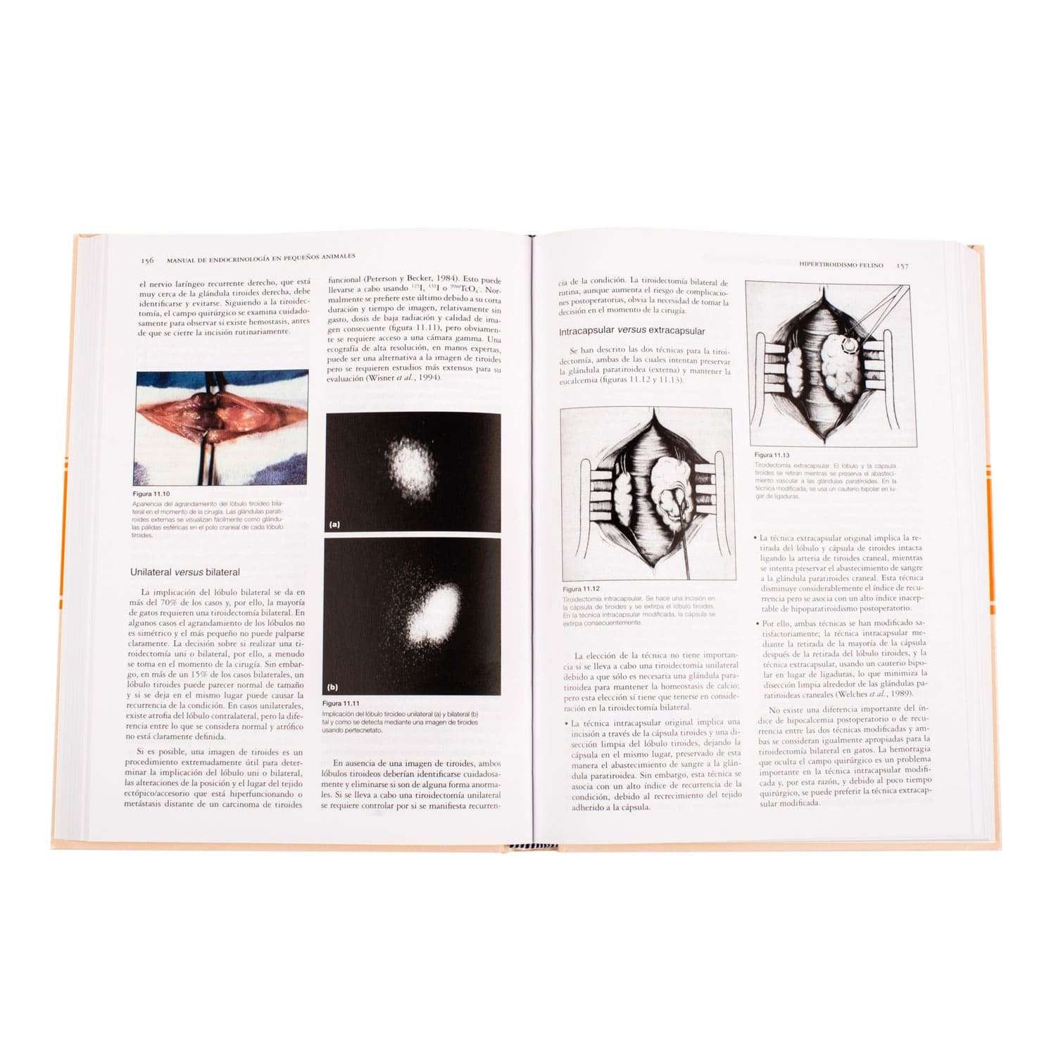 Manual de Endocrinología - Imagen 3