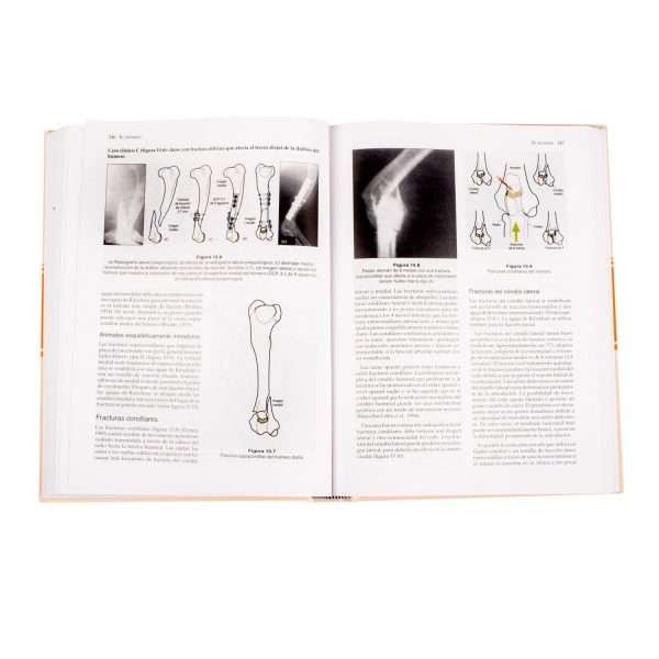 Manual de Reparación y Tratamiento de Fracturas - Imagen 3