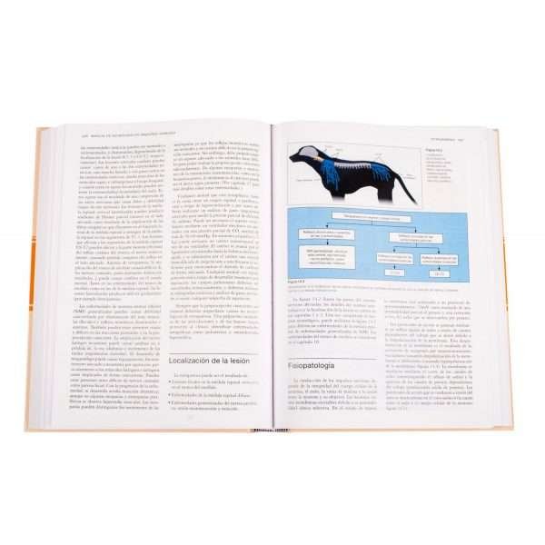 Manual de Neurología - Imagen 4