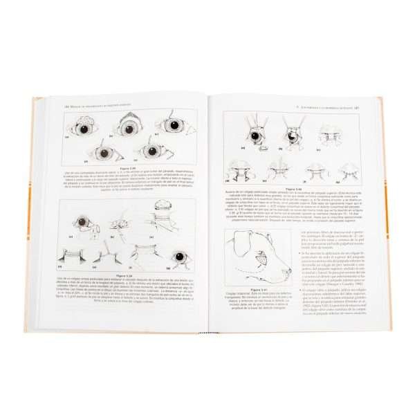 Manual de Oftalmología - Imagen 3