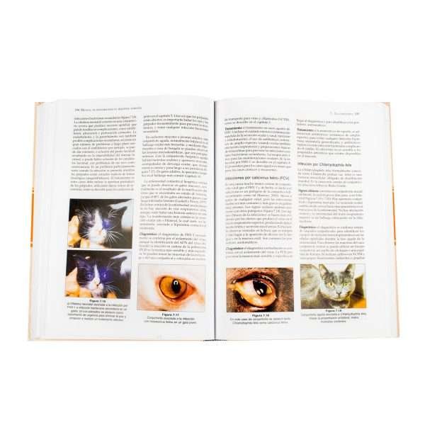 Manual de Oftalmología - Imagen 4