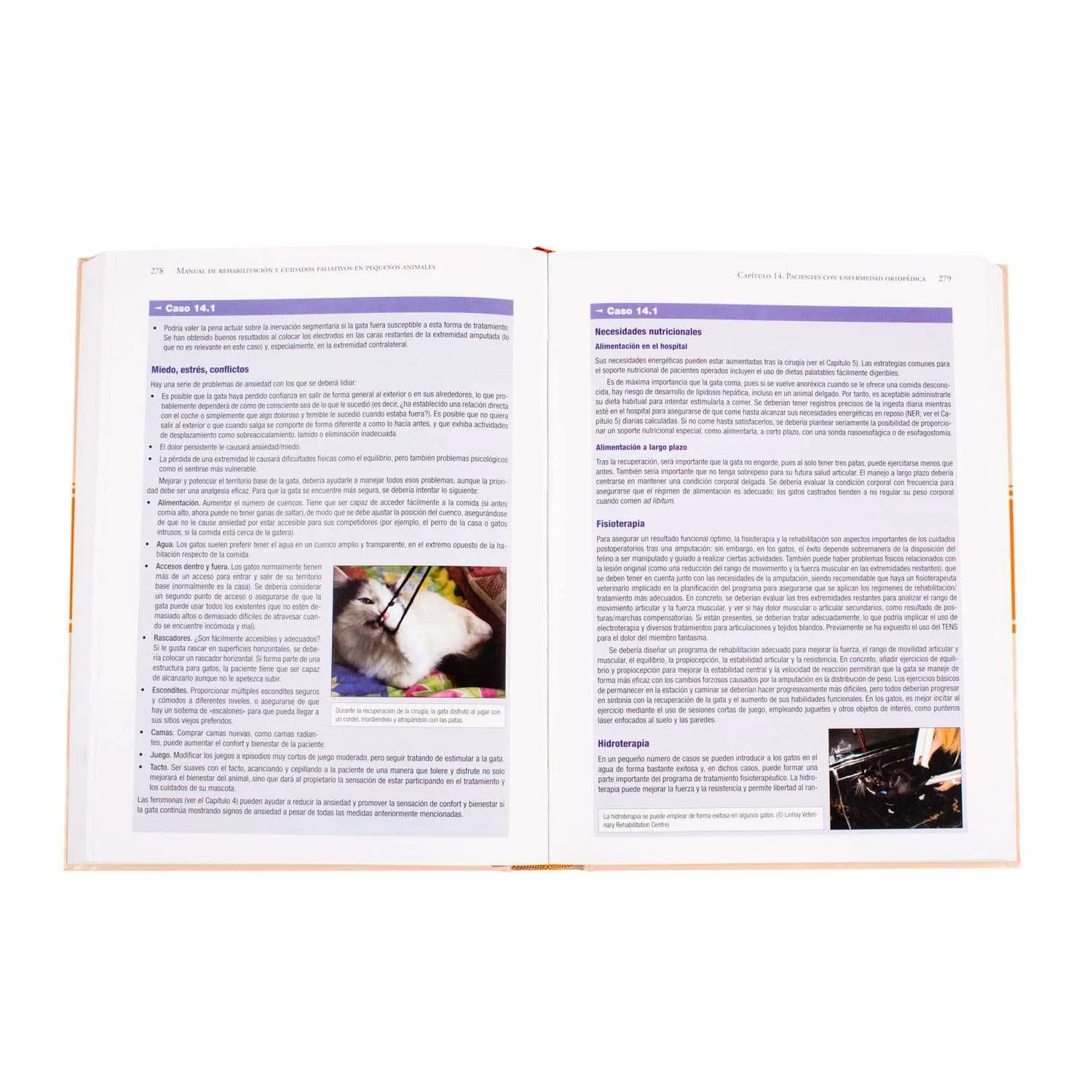 Manual de Rehabilitación - Imagen 3