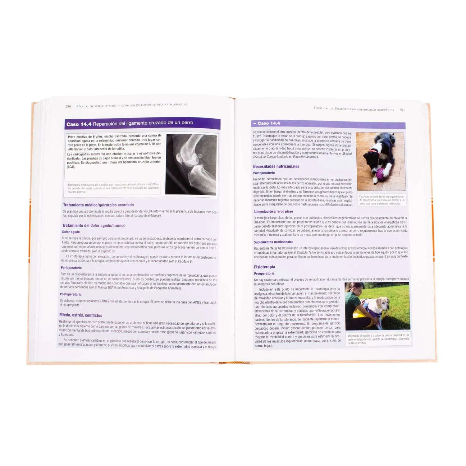 Manual de Rehabilitación - Imagen 4