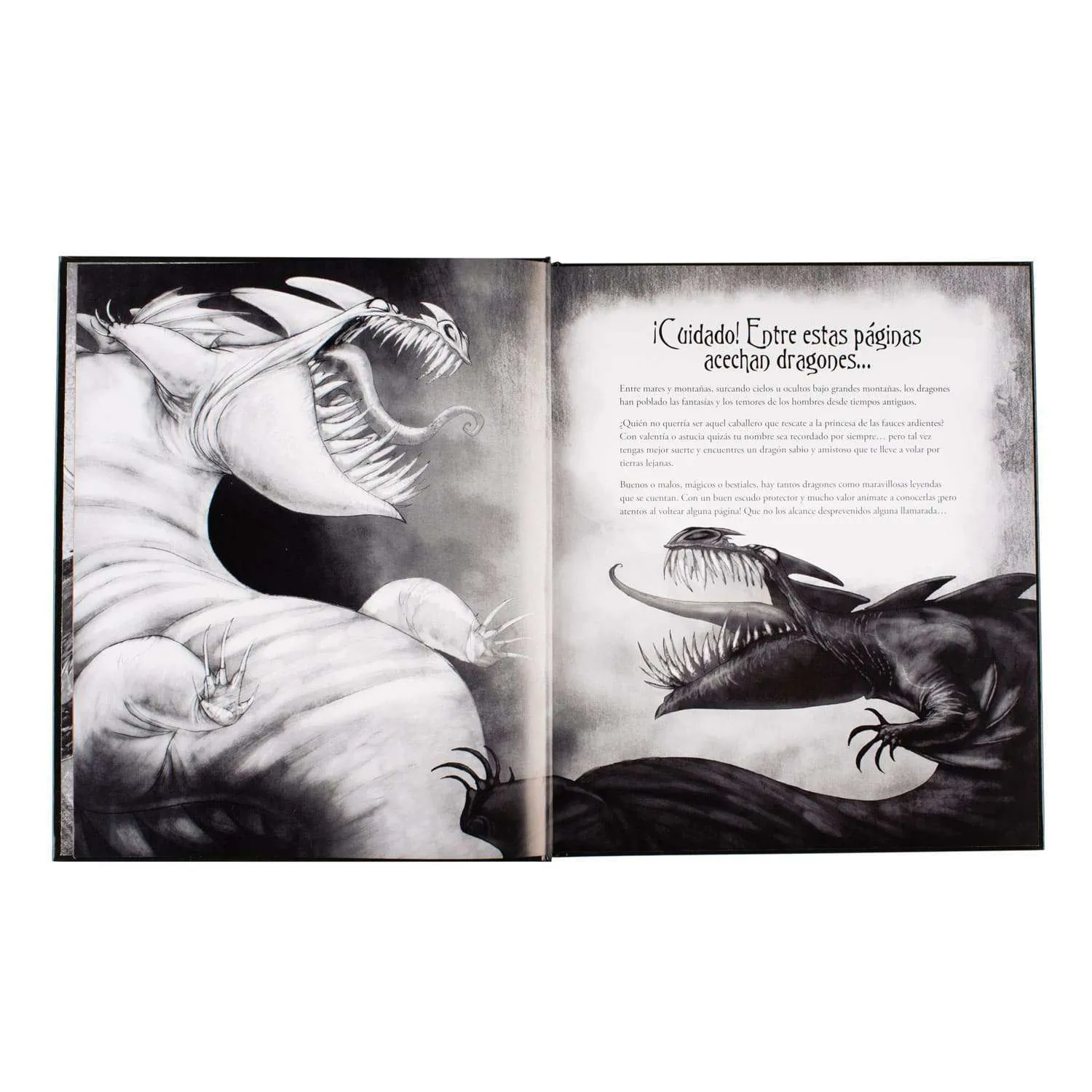 Leyendas con Dragones del Mundo - Imagen 2