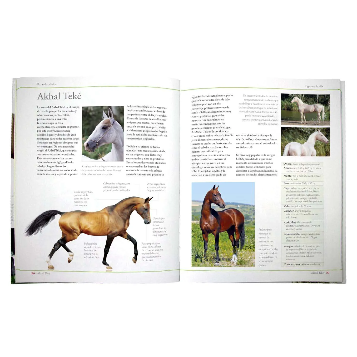 Enciclopedia de las Razas de los Caballos - Imagen 3