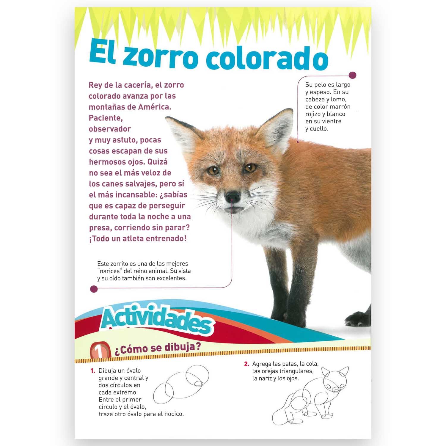 Gigante Ilustrado Animales - Imagen 4