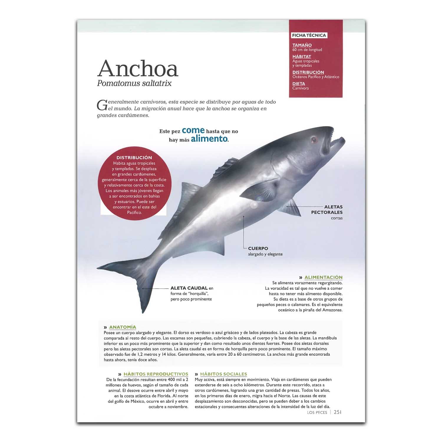 Mundo Animal, Secreto y Maravilloso + CD - Imagen 4