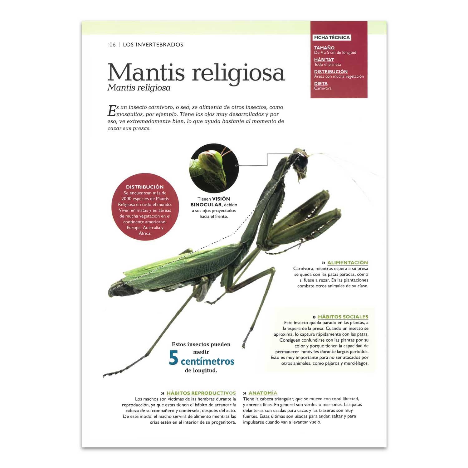 Mundo Animal, Secreto y Maravilloso + CD - Imagen 3