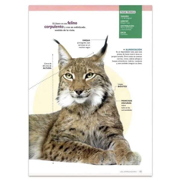 Mundo Animal, Mamíferos Sorprendentes + CD - Imagen 2