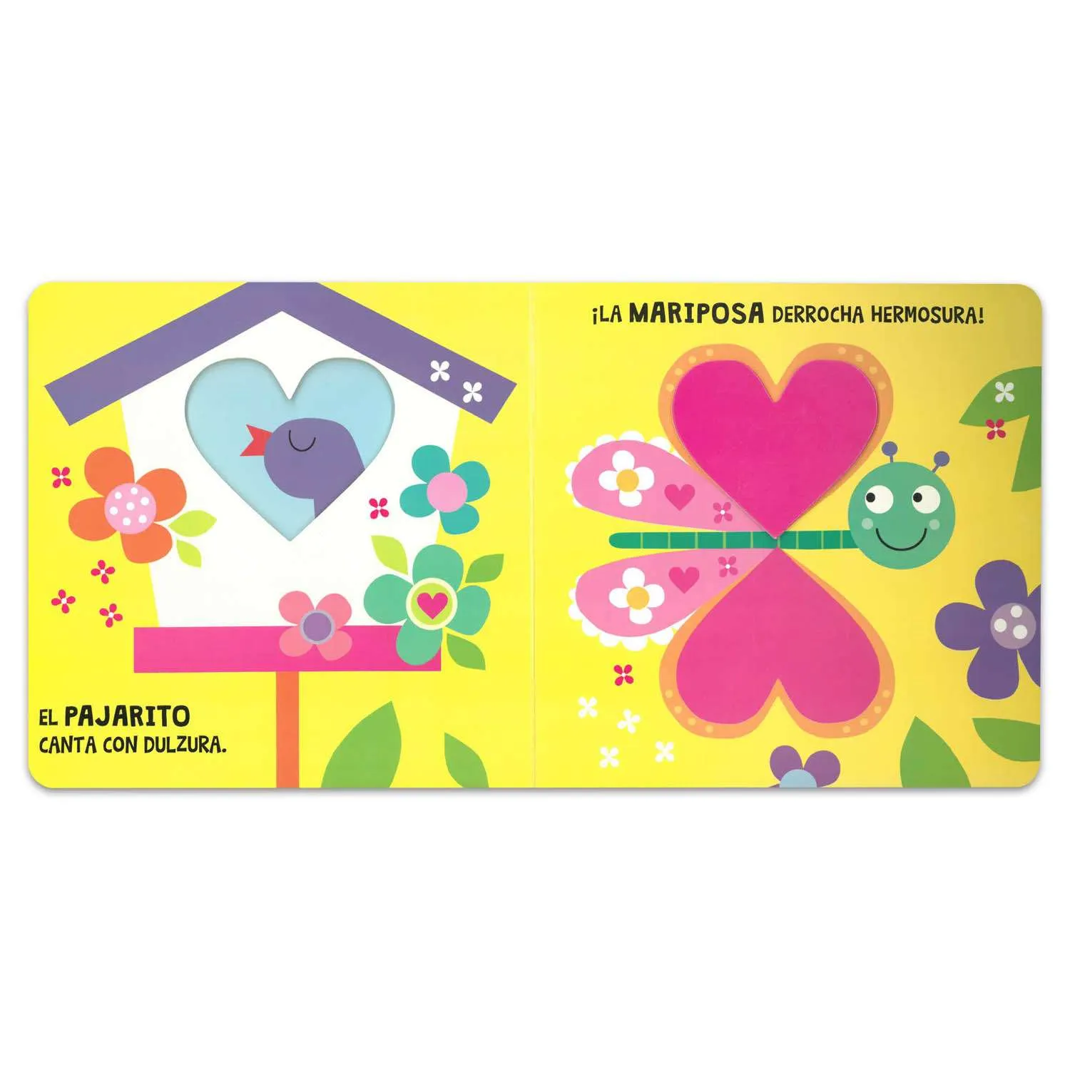 Mira y Descubre - El Jardín - Imagen 4
