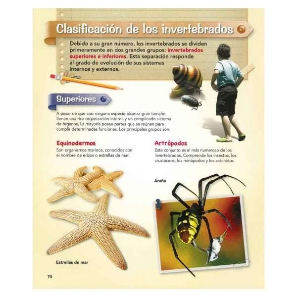 Practikits Mundo Animal - Imagen 3