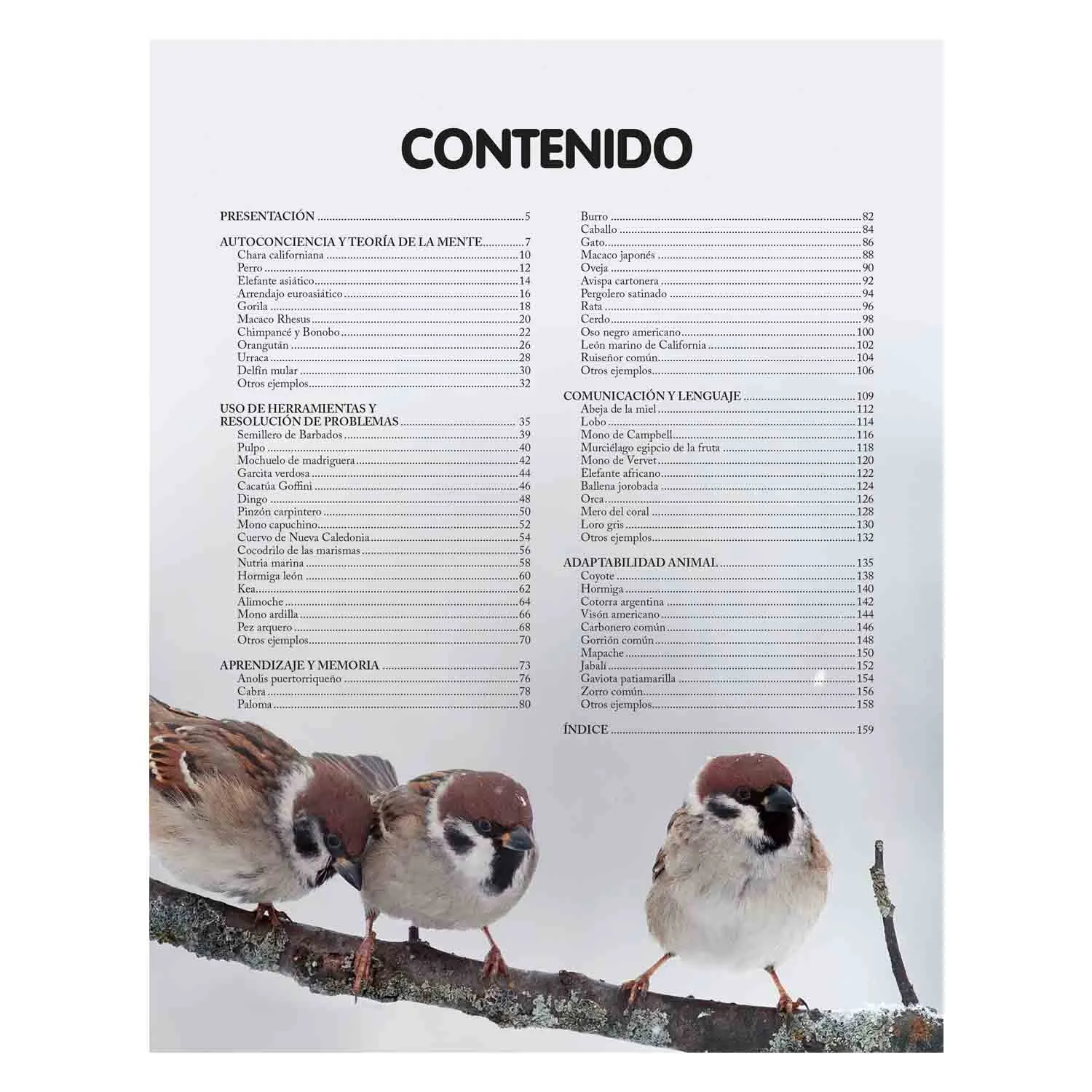 Reino Animal Inteligente - Imagen 2