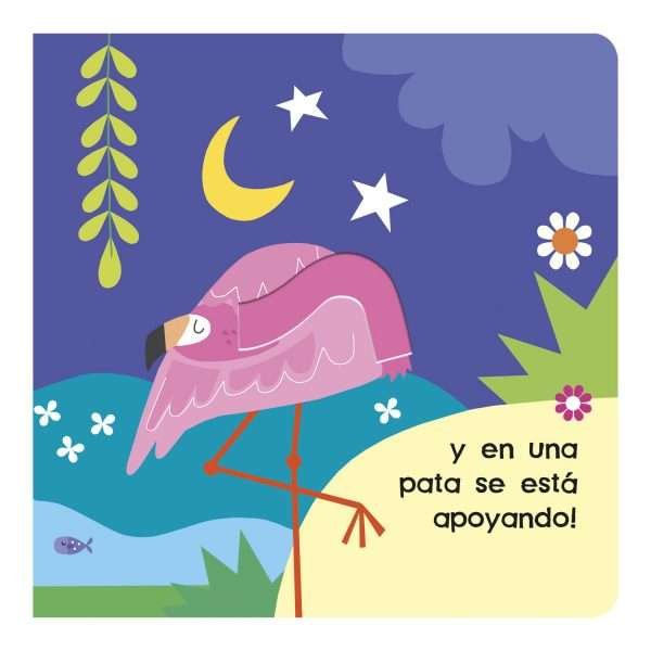 Mira y Descubre - Flamencos - Imagen 4