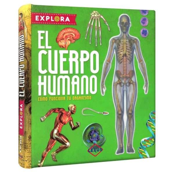 El Cuerpo Humano