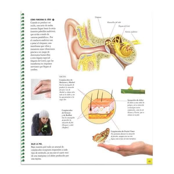 El Cuerpo Humano - Imagen 4