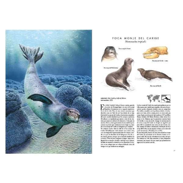 Atlas de los Animales Extintos - Imagen 3