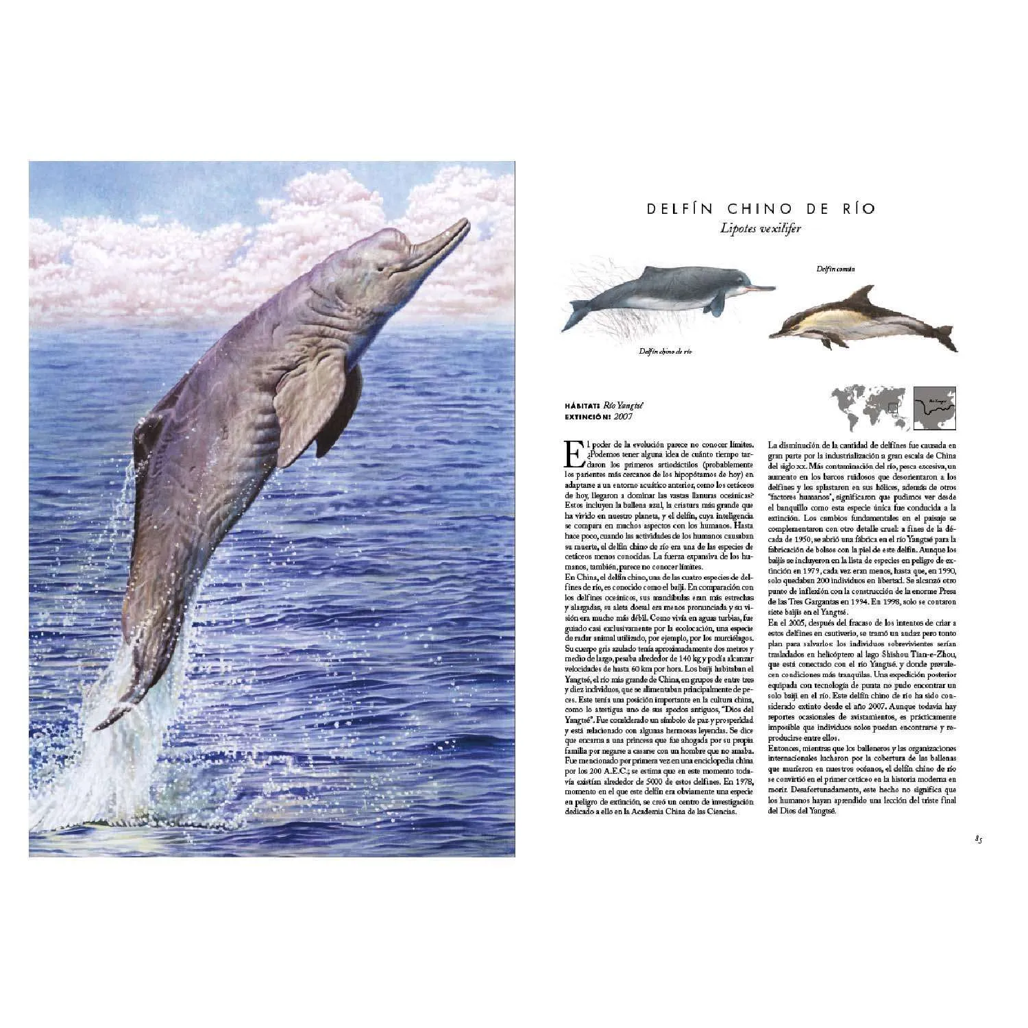 Atlas de los Animales Extintos - Imagen 4