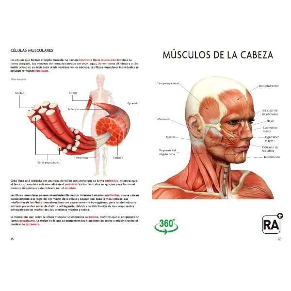 El Gran Libro del Cuerpo Humano - Imagen 3