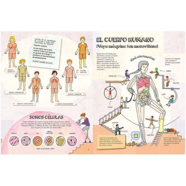 El Cuerpo Humano - Imagen 2