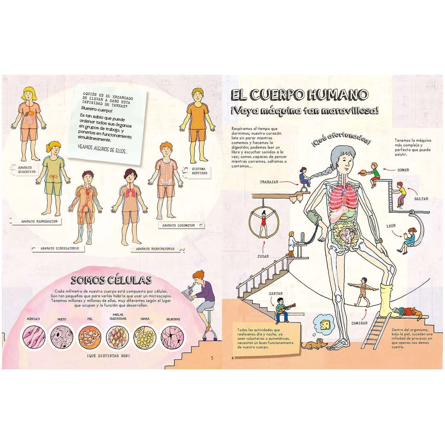 El Cuerpo Humano - Imagen 2