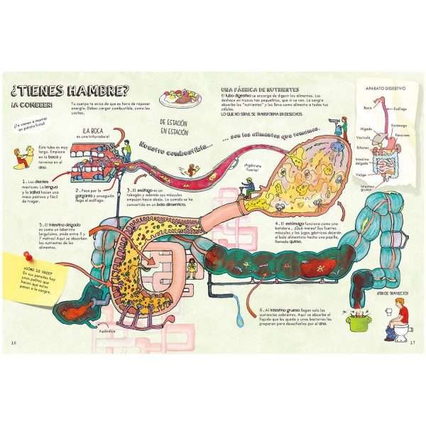 El Cuerpo Humano - Imagen 3