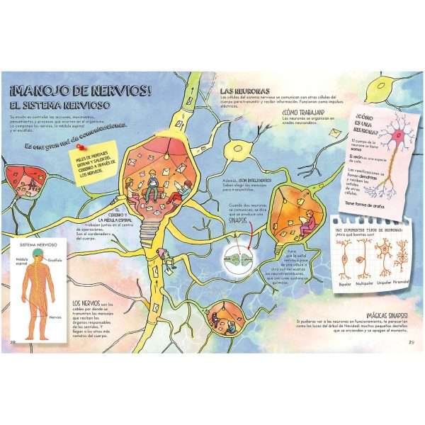 El Cuerpo Humano - Imagen 4