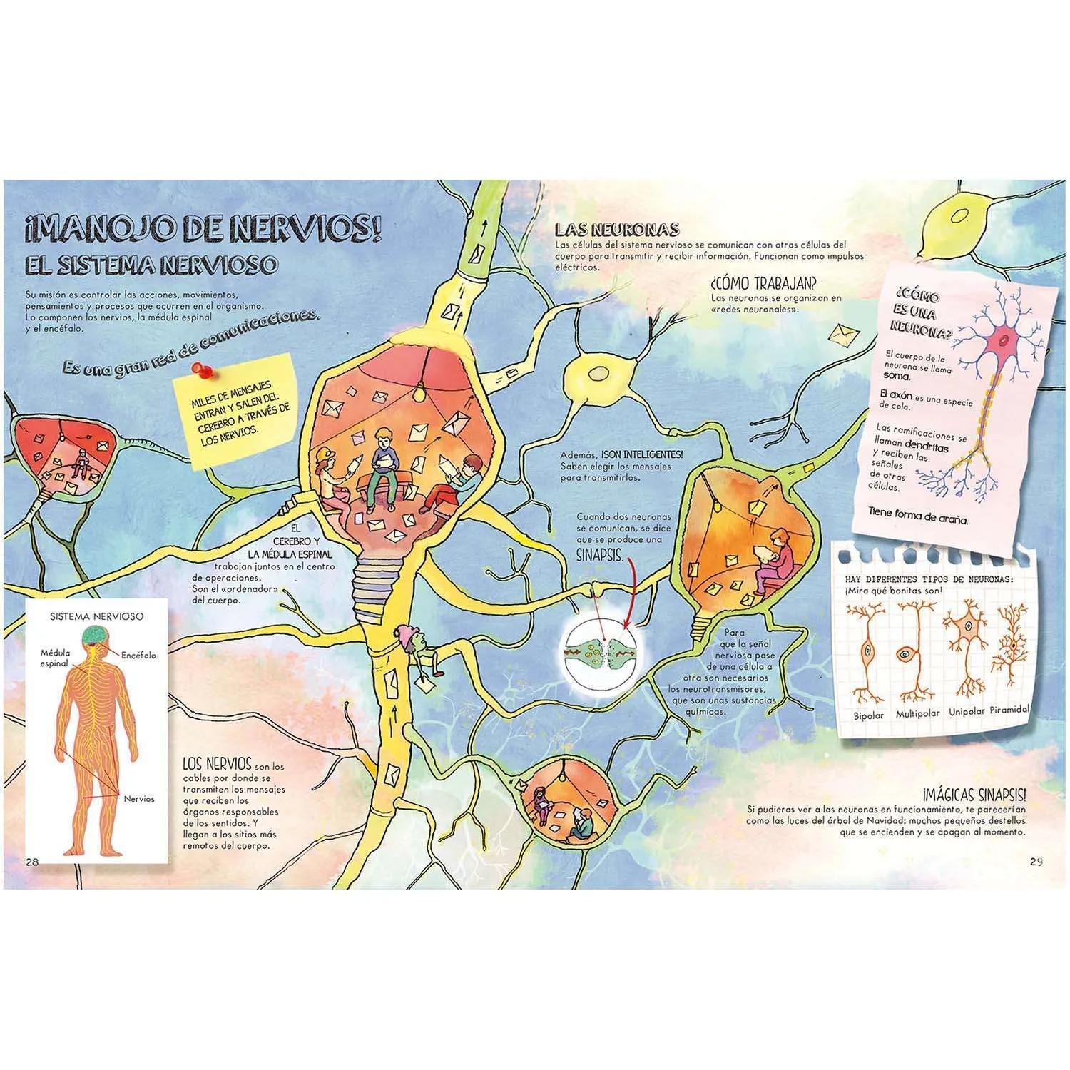 El Cuerpo Humano - Imagen 4