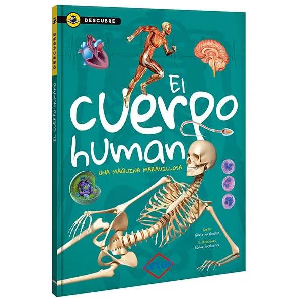 El Cuerpo Humano