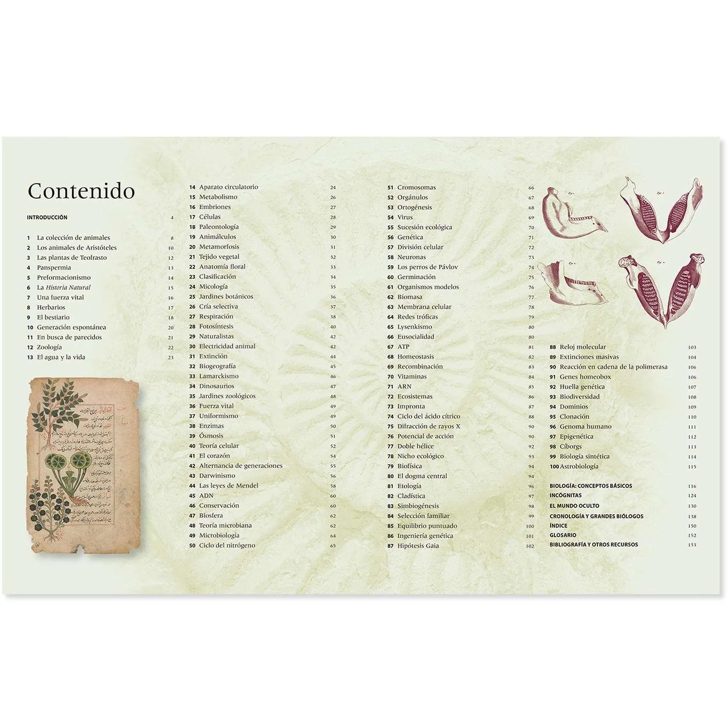 Biología, 100 Descubrimientos que Cambiaron la Historia - Imagen 2