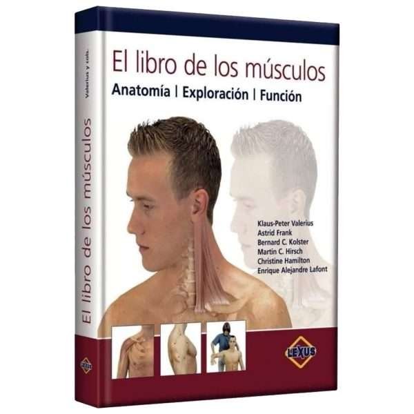 Los Músculos