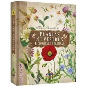 Plantas Silvestres e Infusiones Curativas