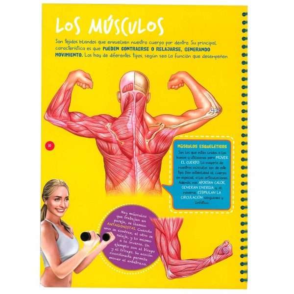 El Cuerpo Humano - Imagen 2