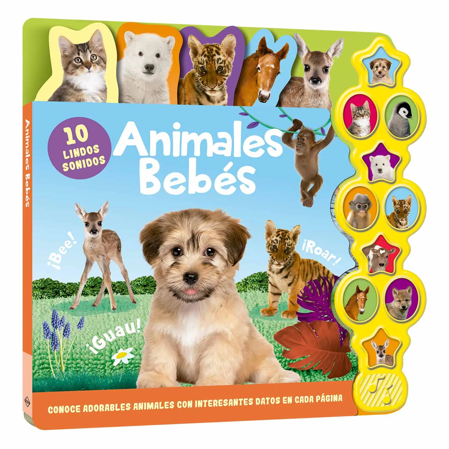 Animales Bebés