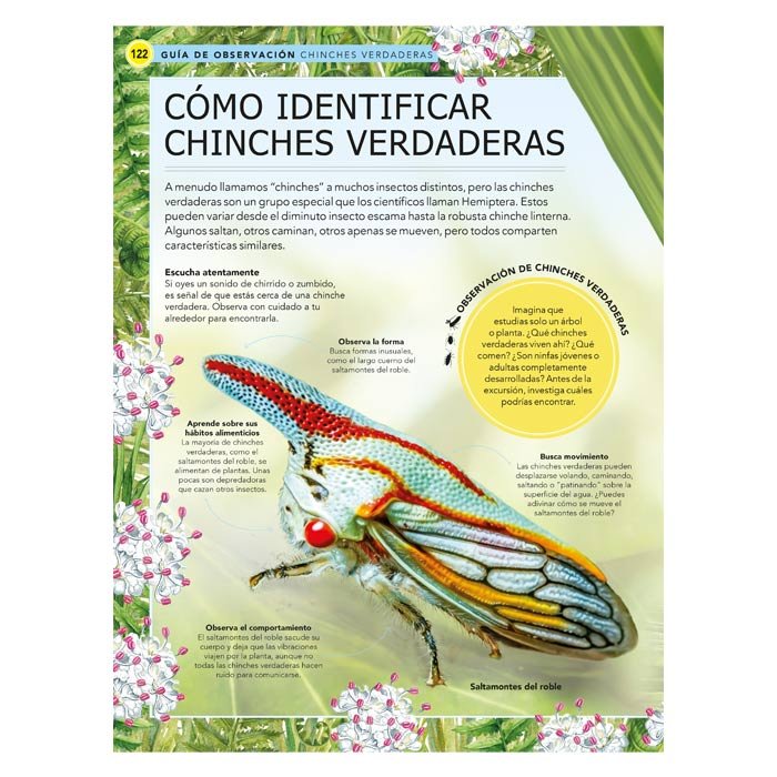 LKGOI1_1