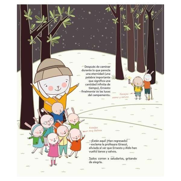 Ernesto - Imagen 4