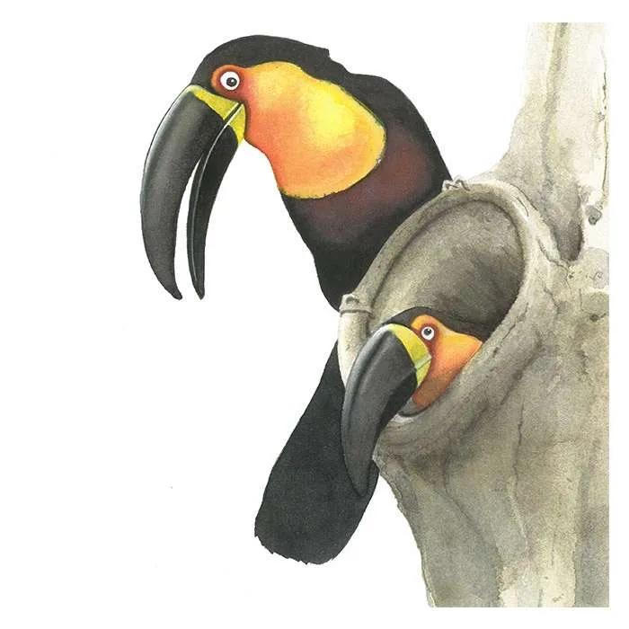 Páginas interiores del libro