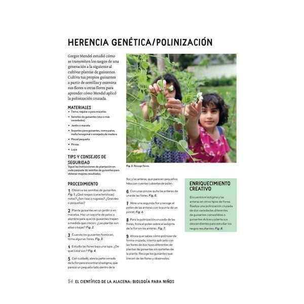 Biología para Niños - Imagen 2