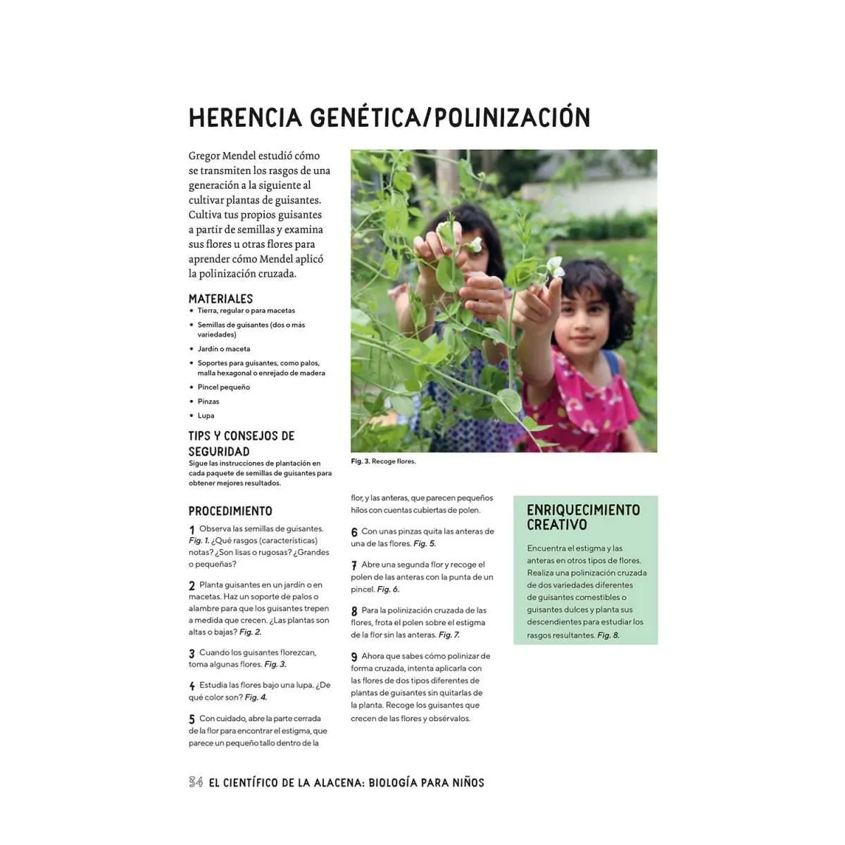 Biología para Niños - Imagen 2