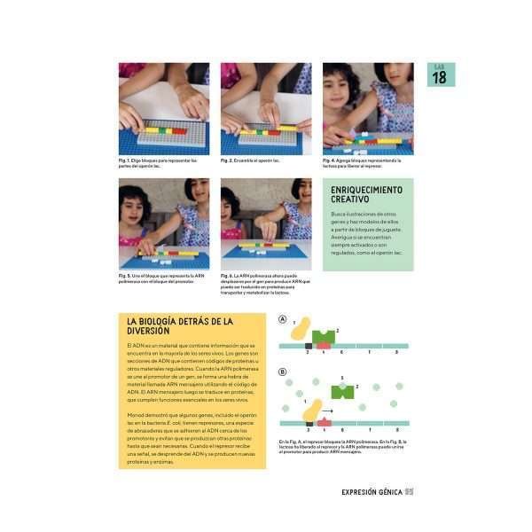 Biología para Niños - Imagen 4