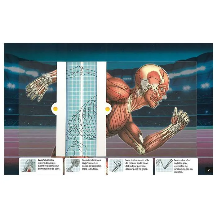Cuerpo Humano con rayos X - Imagen 4