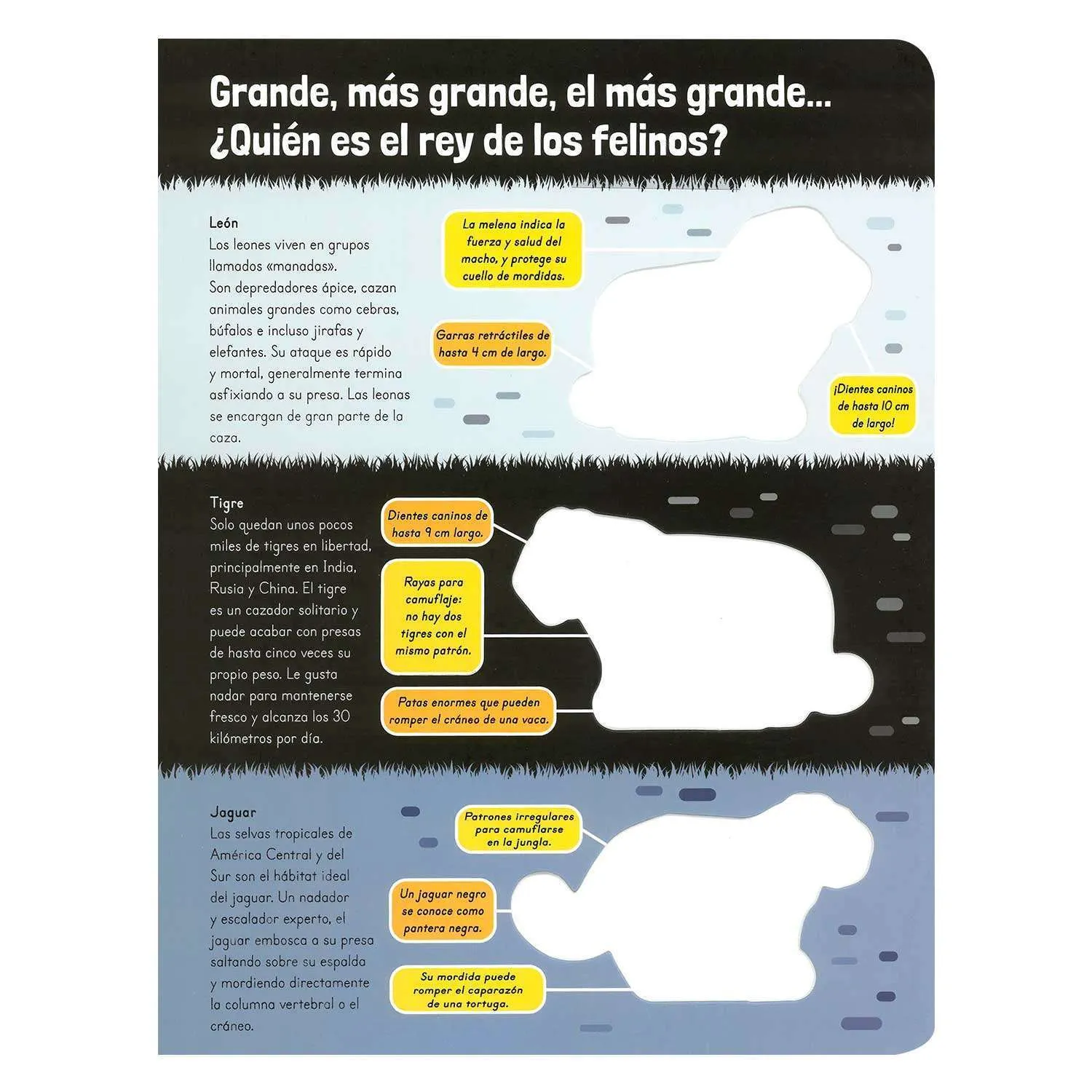 Asombrosos Mega Animales - Imagen 2