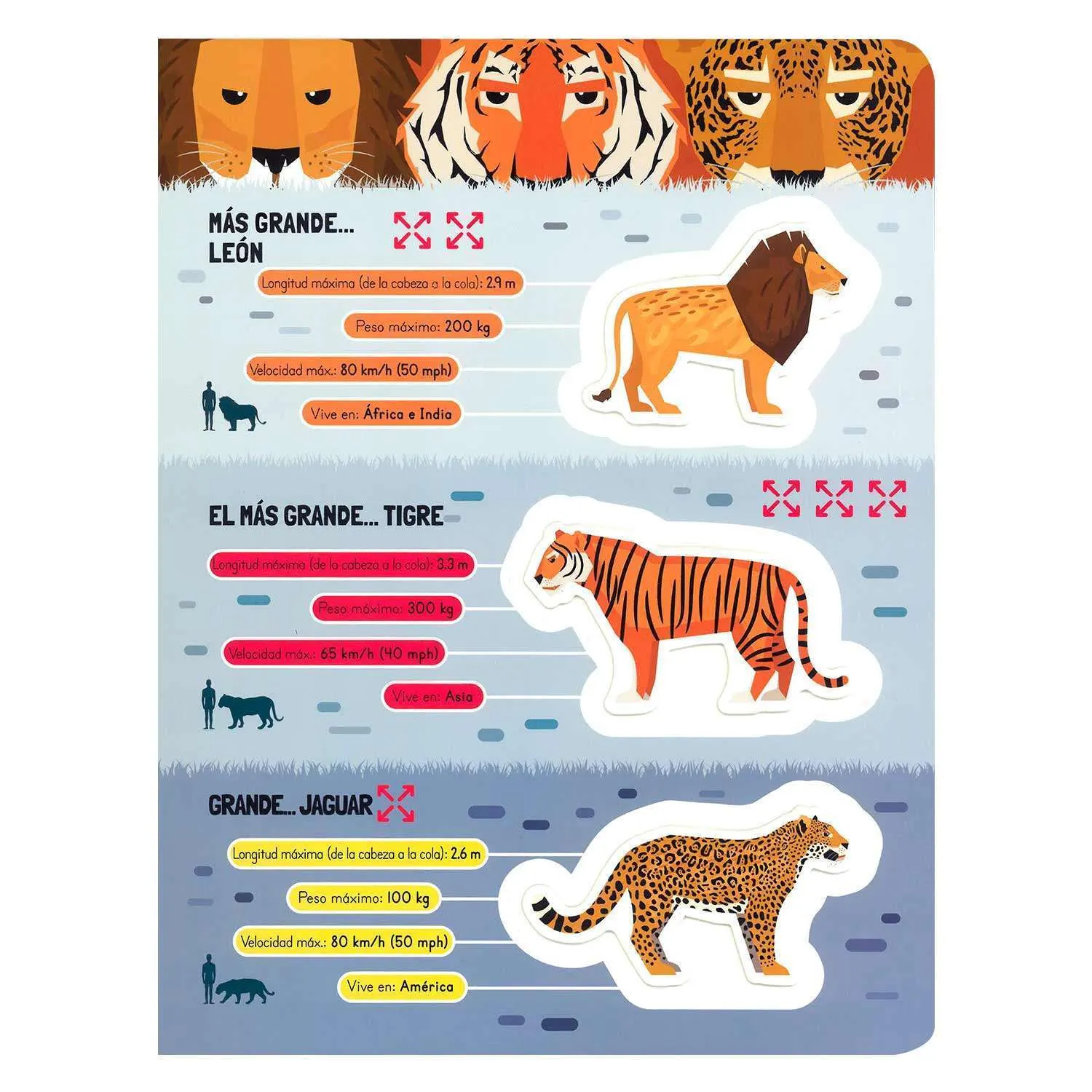 Asombrosos Mega Animales - Imagen 3