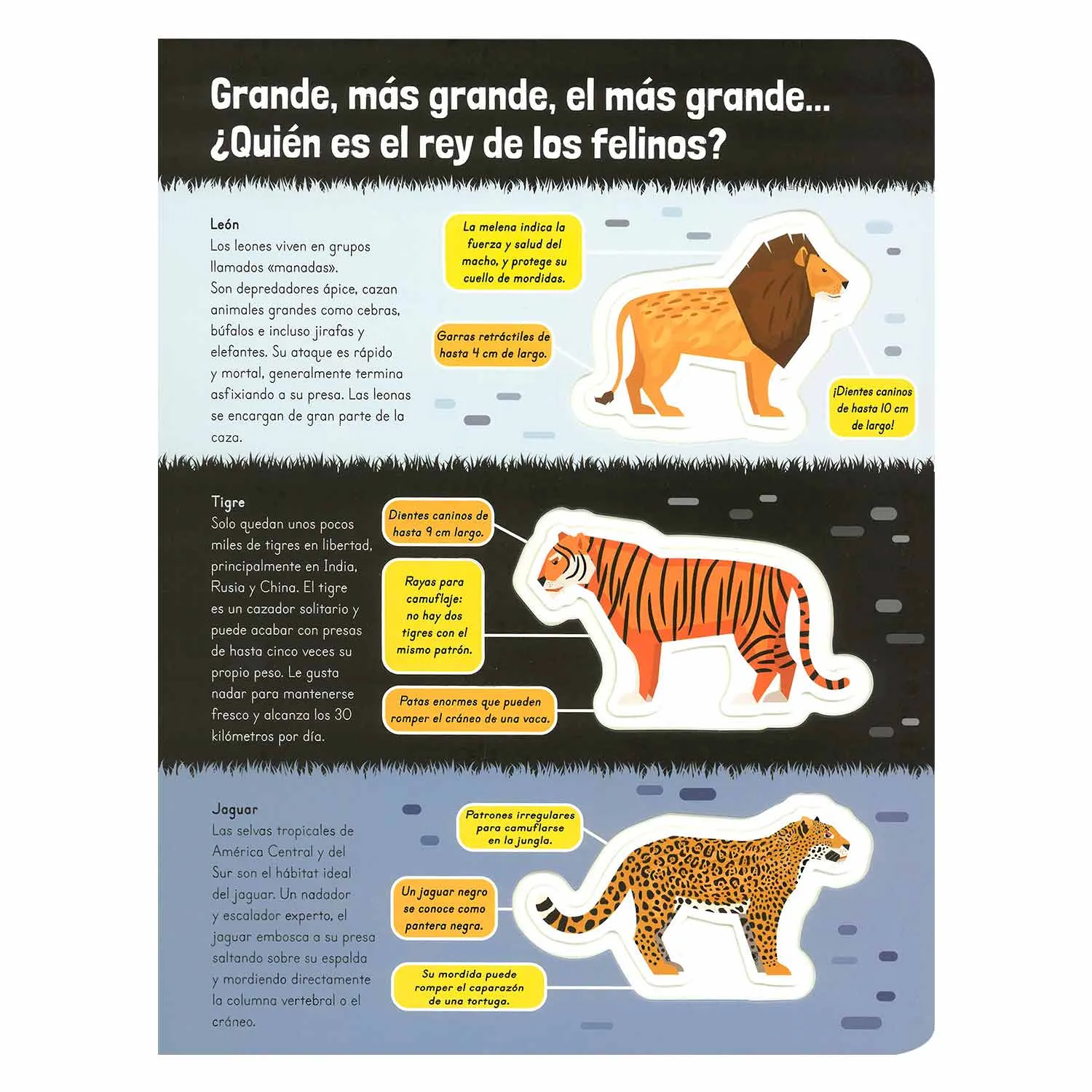 Asombrosos Mega Animales - Imagen 4