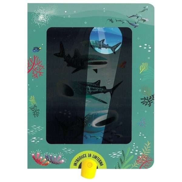 Tiburones / Busca y Encuentra - Imagen 2